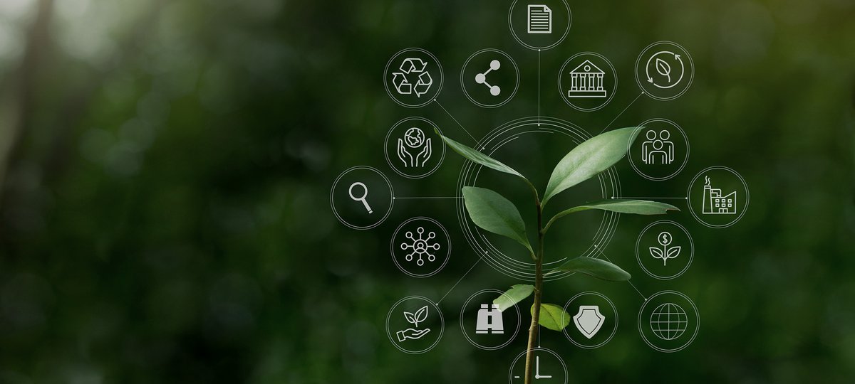 A young seedling against a blurred green forest, ringed by white line icons for recycling, industry, finance and people